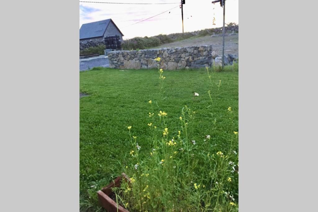 Tigh Noor - Escape To Kinvara By The Sea! Galway Eksteriør billede